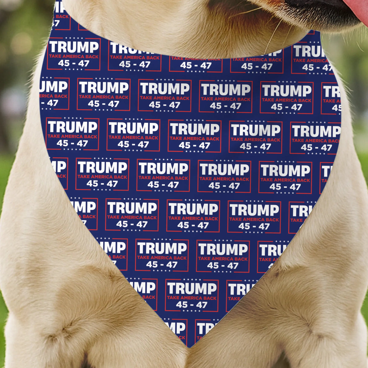 BG BANDANA